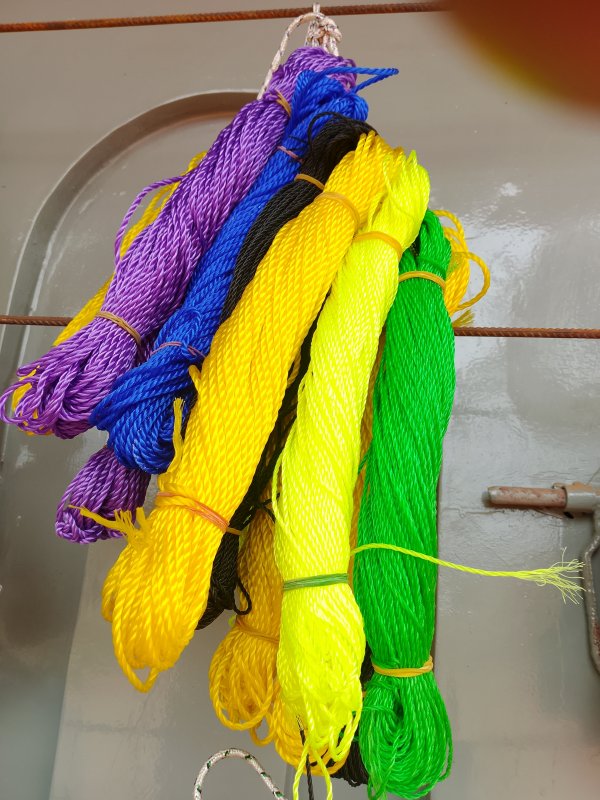 Corde à couleur
